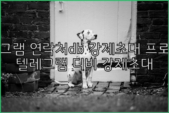 텔레그램 번호 디비 강제초대