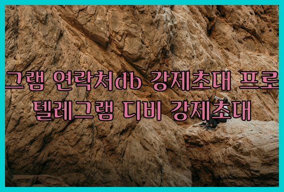 텔레그램 번호 디비 강제초대