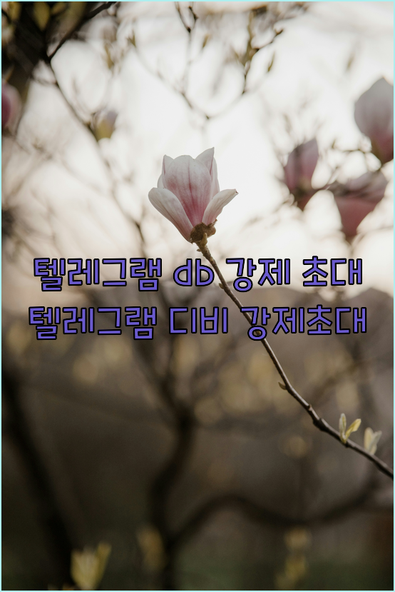 텔레그램 번호 디비 강제초대